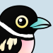 Black-and-yellow Broadbill