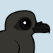 Leach's Storm Petrel