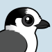 Canada Jay