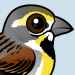 Dickcissel