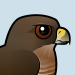 Broad-winged Hawk