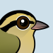 Worm-eating Warbler