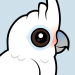 Tanimbar Corella