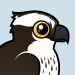 Osprey