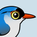 Velvet-fronted Nuthatch