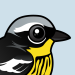 Magnolia Warbler
