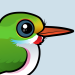 Cuban Tody