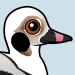 Long-tailed Duck