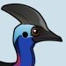 Southern Cassowary