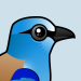 European Roller