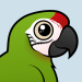 Great Green Macaw