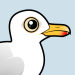 Glaucous Gull