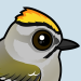 Golden-crowned Kinglet