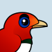 King Bird-of-paradise