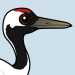 Red-crowned Crane