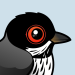 Cyprus Warbler