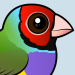 Gouldian Finch