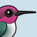 Bee Hummingbird