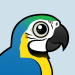 Blue-and-yellow Macaw