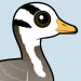 Bar-headed Goose