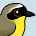 Common Yellowthroat