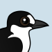 Sooty Tern