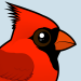 Northern Cardinal