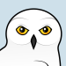Snowy Owl