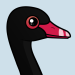 Black Swan