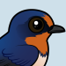 Barn Swallow