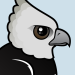 Harpy Eagle
