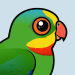 Superb Parrot