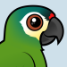 Blue-winged Macaw