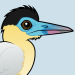 Capped Heron
