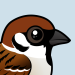 Eurasian Tree Sparrow