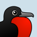Magnificent Frigatebird