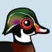 Wood Duck
