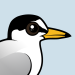Little Tern