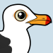 Pacific Gull