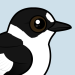 Collared Flycatcher