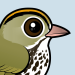 Ovenbird