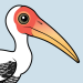 Painted Stork