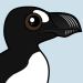 Great Auk
