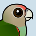 Cape Parrot