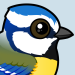 Eurasian Blue Tit