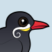 Inca Tern