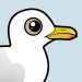 Iceland Gull