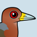 Rufous-necked Wood-Rail
