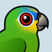 Orange-winged Parrot