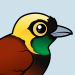 Greater Bird-of-paradise